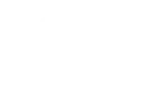 Marketplaces e1767886179391 1