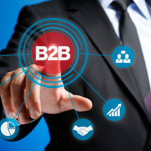 b2b marketplpaces
